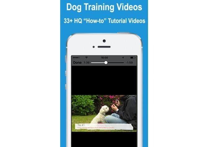DogTraining App for iOS