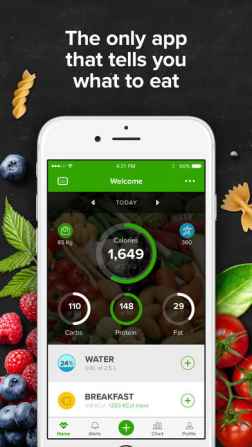 Mealviser for iPhone