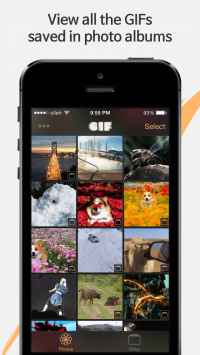 Giflay for iOS