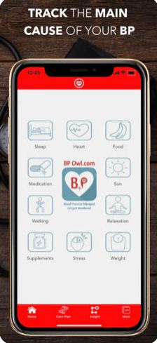 BP Owl, Blood Pressure Owl for iOS