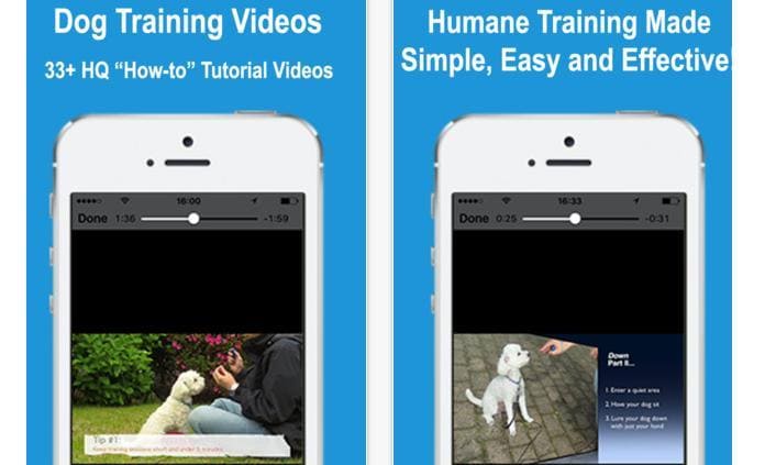 DogTraining App for iOS