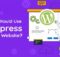 Why You Should Use WordPress