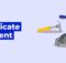 How to Identify Duplicate Content Issues