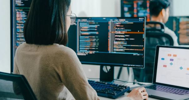 Offshore Software Engineer